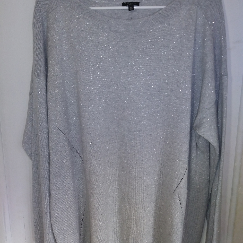 Talbot's woman's Silver Sweater.